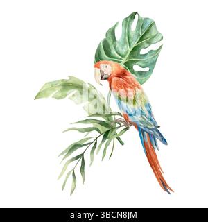 Pappagallo di Macao con foglie di palma, monstera, acquerello. Illustrazione vettoriale disegnata a mano. Per cartoline, inviti, grandi banner estivi, poster Illustrazione Vettoriale