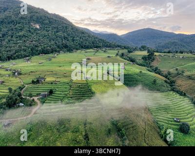 Ripresa aerea di campi di riso terrazzati nebbiosi e piccole capanne di legno nel nord della Thailandia catturate durante la stagione delle piantagioni, mettendo in risalto l'agricoltura tradizionale Foto Stock