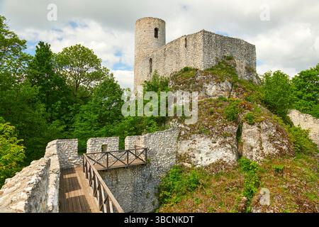 Un castello medievale in rovina arroccato su una collina rocciosa in mezzo a una vegetazione lussureggiante, che mostra architettura storica e bellezze naturali. Foto Stock