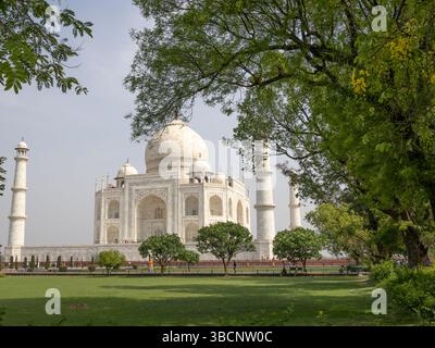 L'iconico Taj Mahal di Agra, India, catturato in una limpida giornata primaverile con lussureggianti giardini verdi e alberi in fiore in primo piano. Foto Stock