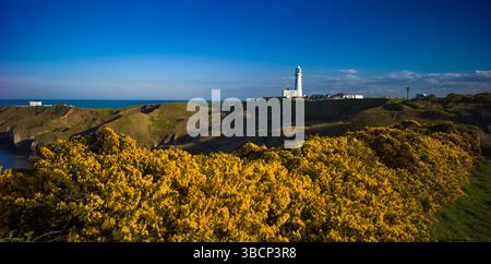 Bridlington, Regno Unito, 13 aprile 2025, faro di Flamborough Foto Stock