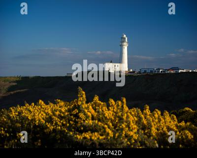 Bridlington, Regno Unito, 13 aprile 2025, faro di Flamborough Foto Stock