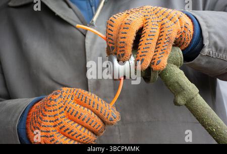 Mani maschili nei guanti per impostare il rasaerba manuale per pulire l'erba Foto Stock