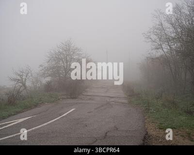 Un'autostrada vuota, una strada asfaltata che attraversa i campi e la foresta in una fitta nebbia Foto Stock