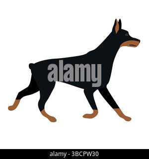 Cane doberman piatto disegnato a mano, isolato su sfondo bianco Illustrazione Vettoriale