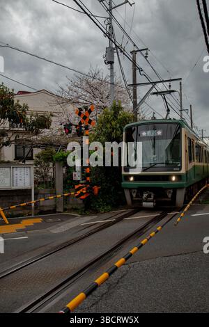 Il tram Green Enoden passa davanti a case tradizionali e ciliegi in fiore in primavera a Kamakura, Giappone Foto Stock