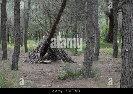 Riparo per tenda costituito da rami appoggiati a un tronco d'albero caduto nel bosco. Foto Stock