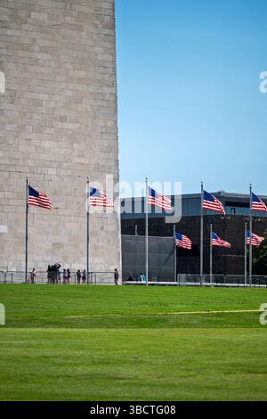 Monumento a Washington sul National Mall di Washington DC | WASHINGTON D.C., Stati Uniti - le bandiere americane si agganciano al vento contro la facciata in marmo del Washington Monument, con il National Museum of African American History and Culture visibile oltre. L'obelisco di 555 piedi (169 m), dedicato nel 1885, rimane la struttura in muratura più alta del mondo. Un gruppo di visitatori si riunisce alla sua base vicino alla recinzione di sicurezza. Foto Stock