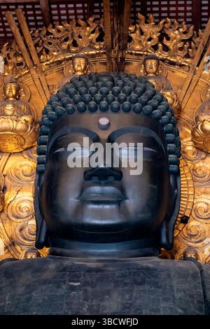 Testa del grande Buddha di bronzo, sala del grande Buddha, tempio Todai-ji, Nara, Giappone Foto Stock