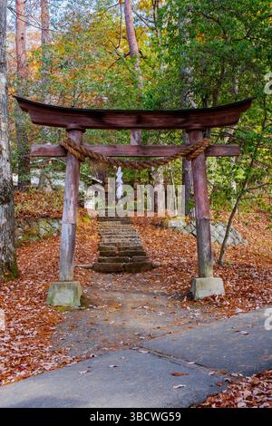 Torii gate, Hida No Sato, Hida Folk Village, Takayama, Giappone Foto Stock