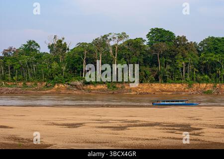 Rive sabbiose del fiume Tambopata nella fitta foresta amazzonica peruviana Foto Stock