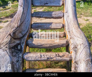 Una vista ravvicinata di rustici gradini in legno fatti di tronchi, che conducono verso l'alto. I gradini sono intemprati, mostrando texture e colori naturali, circondati da Foto Stock