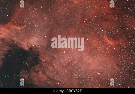 La Nebulosa del Nord America (NGC 7000, Caldwell 20) è una nebulosa di emissione nella costellazione di Cygnus, vicino a Deneb Foto Stock