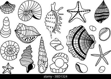 Collezione di conchiglie di mare e stelle marine decorative in stile Art Line Illustrazione Vettoriale