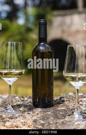 Una bottiglia di vino scura, senza etichetta, fiancheggiata da due bicchieri di vino bianco, posta su una superficie rocciosa in un ambiente esterno. Perfetto per i modelli di etichette. Foto Stock