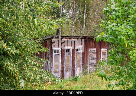 Vecchio e idilliaco attico in legno su un prato vicino alla foresta Foto Stock