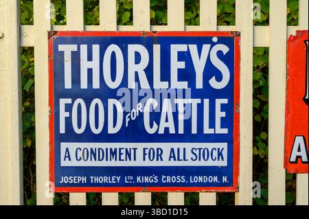 Cartello pubblicitario in smalto vintage per Thorley's Cattle Food su una recinzione di picchetti alla stazione di Sheffield Park sulla Bluebell Railway nell'East Sussex, Inghilterra. Foto Stock