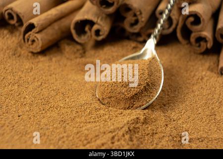 Primo piano di Spoonful of Brown Ground Spice e Cinnamon Sticks. Scena del cibo naturale. Foto Stock