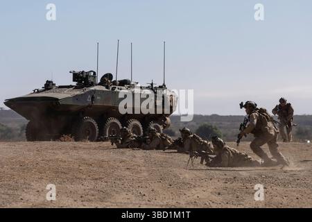 US Marines con 1st Battalion, 7th Marines, 1st Marine Division, smontano un veicolo da combattimento anfibio durante un percorso di raid meccanizzato ospitato dalla Foto Stock