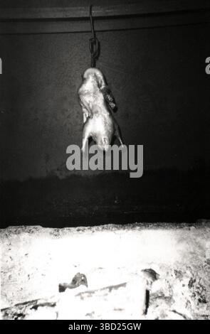 Film in bianco e nero degli anni '2010 Ritratto dell'anatra alla pechinese appesa Foto Stock