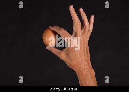 uovo naturale fresco tenuto tra le dita della mano di una donna Foto Stock