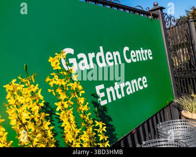 Cartello d'ingresso al Garden Centre e Forsythia suspensa con cesti di piante in filo metallico in primo piano in un luminoso sole primaverile, Surrey Regno Unito Foto Stock