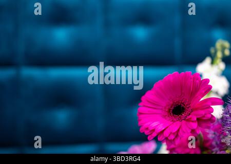 Un vivace fiore rosa spicca in primo piano, contrastando con lo sfondo blu intenso. I colori ricchi evocano una sensazione di freschezza Foto Stock