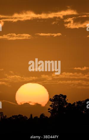 Un bellissimo tramonto nel sud della Florida con un cielo arancione scintillante. Foto Stock