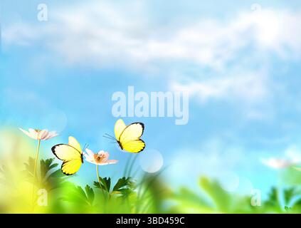 Splendidi fiori selvatici e farfalle nella natura estiva dei prati Foto Stock