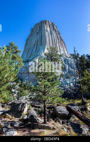 Il devil's Tower National Monument, una rara forma di roccia ignea, sorge fuori dal paesaggio del Wyoming, Stati Uniti. Foto Stock