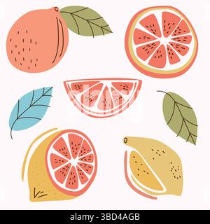 Illustrazioni colorate di agrumi tra cui arance, limoni e pompelmo con foglie verdi. Illustrazione Vettoriale