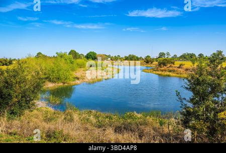 Lago nella riserva Scherer Thaxton a Venice, Florida, Stati Uniti Foto Stock
