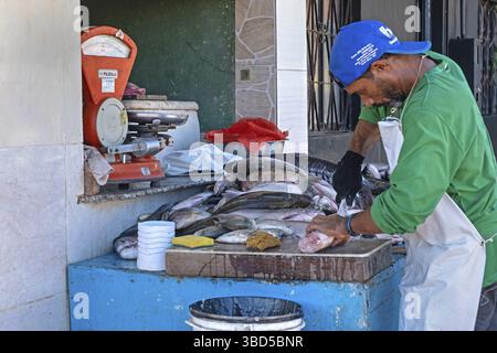 Pescivendolo che pulisce il pesce al mercato nel porto, porto della città di Porto Velho, Rondonia nel bacino superiore del Rio delle Amazzoni, Brasile Foto Stock