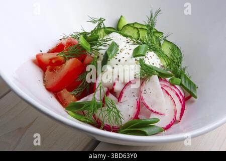 Insalata con ravanello, pomodoro, cetriolo, cipolla e panna acida Foto Stock