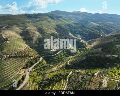Vista aerea di una strada tortuosa che passa attraverso lussureggianti terrazze di vigneti in un paesaggio collinare Foto Stock
