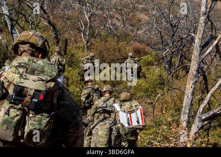 I soldati statunitensi, assegnati alla 76th Engineer Company, 41st Engineer Battalion, con Joint Task Force–Southern Border, si muovono attraverso la fitta vegetazione durante il trasporto di materiali durante una missione di deposito di segni della New Mexico National Defense area (NMNDA) vicino ad Antelope Wells, New Mexico, 20 maggio 2025. Sotto la direzione del Northern Command degli Stati Uniti, la Joint Task Force–Southern Border allinea gli sforzi per sigillare il confine meridionale e respingere le attività illegali ed è responsabile di operazioni su larga scala, agili e di tutti i domini, che consentiranno operazioni DoD più efficaci ed efficienti. (Foto U.S. Army di S Foto Stock