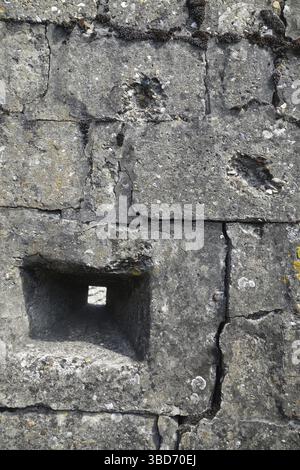 Fori di proiettile e scappatoia a Dodengang, Boyau de la Mort, trincea della morte, trincee della prima guerra mondiale lungo il fiume Yser, Diksmuide, Belgio Foto Stock