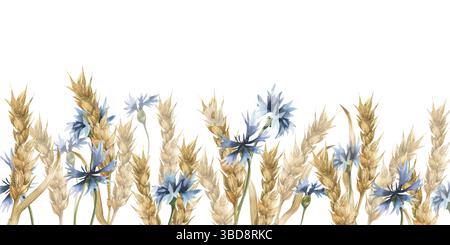 Steli di frumento secco e striscione floreale di fiordaliso blu. Fiori da campo trafilati a mano e clipart di segale, stagione della raccolta sfondo prato per il confezionamento, Foto Stock