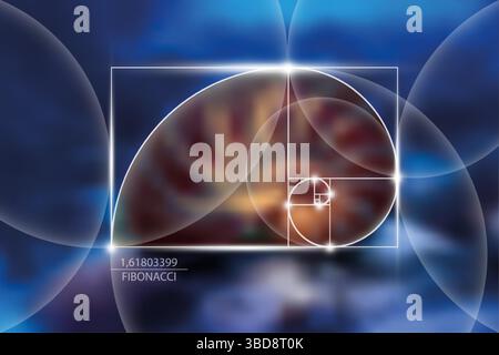 Sequenza numerica di Fibonacci. Rapporto d'oro. Forme geometriche a spirale. Spirale lumaca. Nautilus Seashell. Modello geometrico sacro. Sequenze logaritmiche Illustrazione Vettoriale