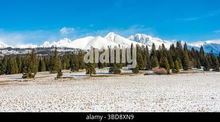 Slovacchia: Vista panoramica di Big Tatra. Grandi montagne in bacground e foresta in primo piano clima innevato freddo Foto Stock