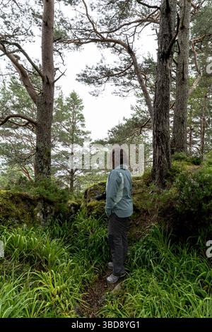 Giovane donna vista da dietro esplorare una lussureggiante foresta nordica, vestita con l'attrezzatura da trekking e con una macchina fotografica, circondata da rocce muschiate, pini e natura Foto Stock
