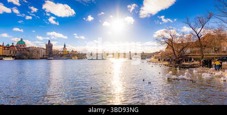 Vista panoramica del Ponte Carlo di Praga vicino al fiume Moldava. Swan sul fiume. Praga è la capitale ceca e un'importante destinazione turistica Foto Stock
