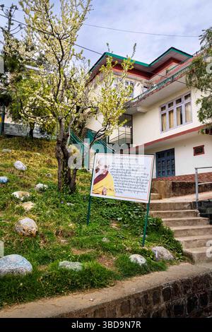 Edifici scolastici del villaggio tibetano per bambini a Dharamshala Foto Stock