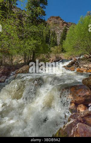 Ruscello di Montagne Rocciose, Big Cottonwood, Utah USA Foto Stock