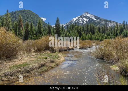 Twin Peaks, montagna innevata e ruscello di montagna, Salt Lake City, Utah USA Foto Stock