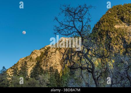 Luna con montagna nel tardo pomeriggio, vicino a Salt Lake City, Utah USA Foto Stock