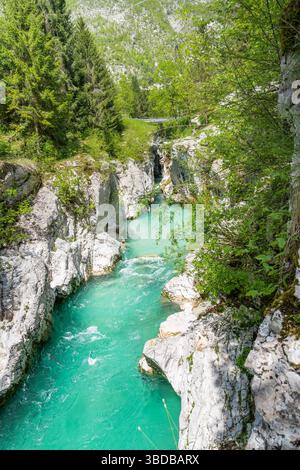 Incredibile fiume turchese Soca che scorre attraverso una stretta gola circondata da vegetazione lussureggiante nel parco nazionale del Triglav, Slovenia Foto Stock