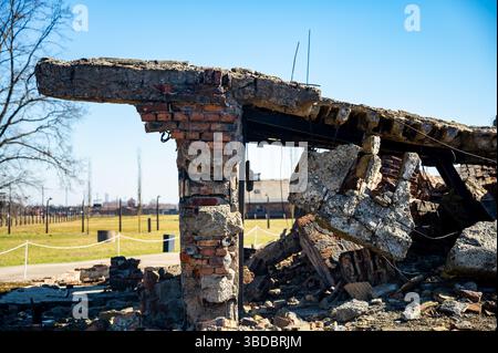 Rovine della camera del gas nel campo di concentramento di Auschwitz-Birkenau, Polonia Foto Stock