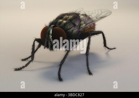Illustrazione 3D artistica di una casa Foto Stock