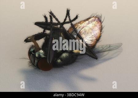 Illustrazione 3D artistica di una casa Foto Stock